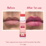 WishCare Ceramide Lip Balm Tinted with SPF 50 PA+++ 5g
