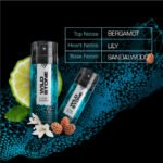 Wild Stone Hydra Energy Deodorant for Men -150ml